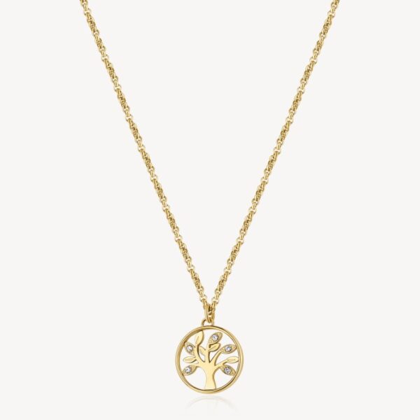 zenska-verizica-zlata-nerjavece-jeklo-brosway-bhkn094-obesek-drevo-zivljena-zenski-nakit-cirkoni-chakra