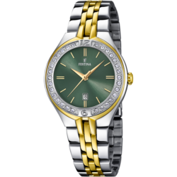 Ročna ura Festina F16868-4