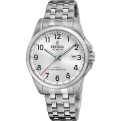Moška ročna ura FESTINA F20696-1
