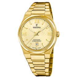 Moška ročna ura FESTINA SWISS F20057-2