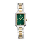Ženska ročna ura DKNY DK1L009M0025